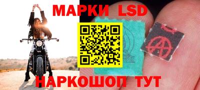 гидропоника Абинск
