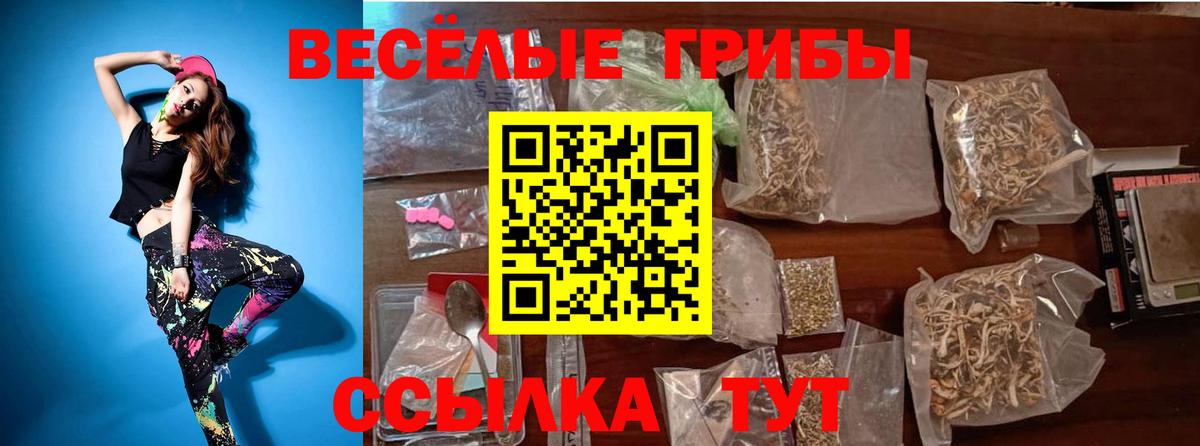 Галлюциногенные грибы мухоморы  Вход с VPN  Абакан 